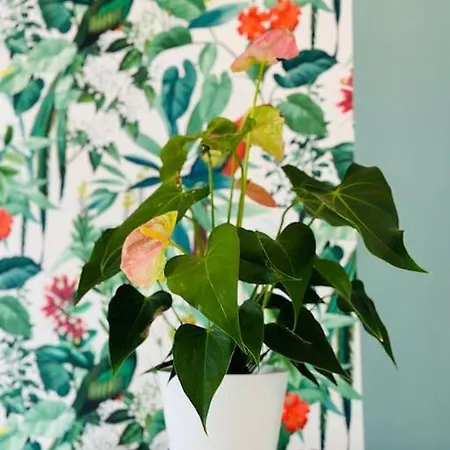 Appartement Le Jardin Secret - Jardin/loire